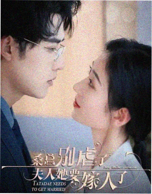 红果影视剧集追更《无声证词》海报